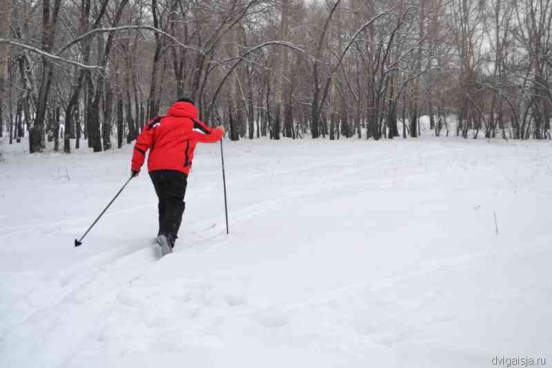 Оздоровительный бег и ходьба на лыжах – сезон открыт
