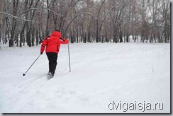 бегу на лыжах за здоровьем