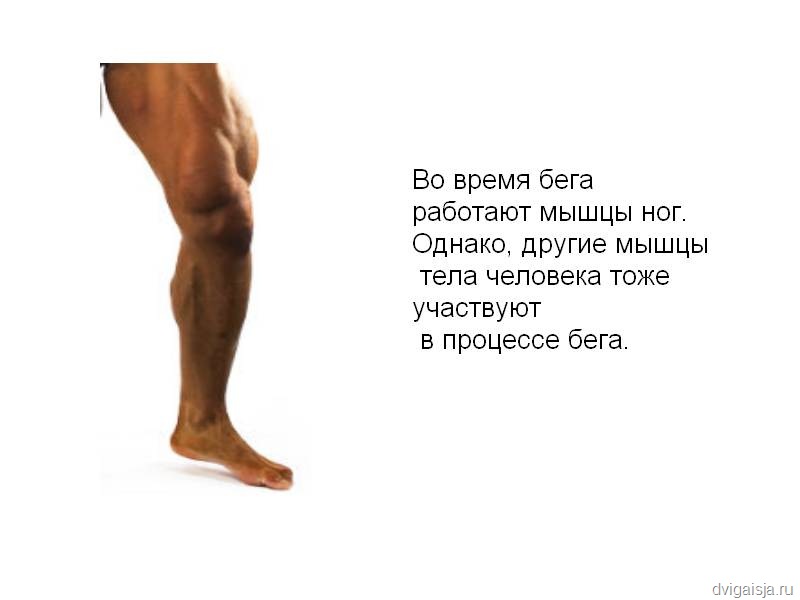 На какие мышцы человека влияет бег